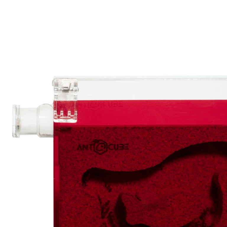 Klebeklammern - transparent 2 Stk.